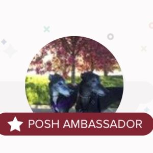 Posh Ambassador